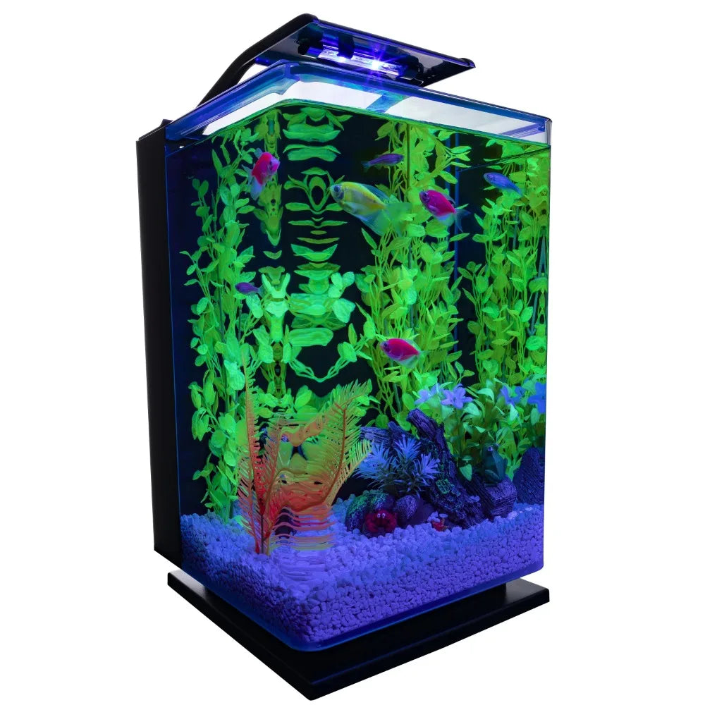 5 Gallon glass Aquarium Kit - Your Choice Central