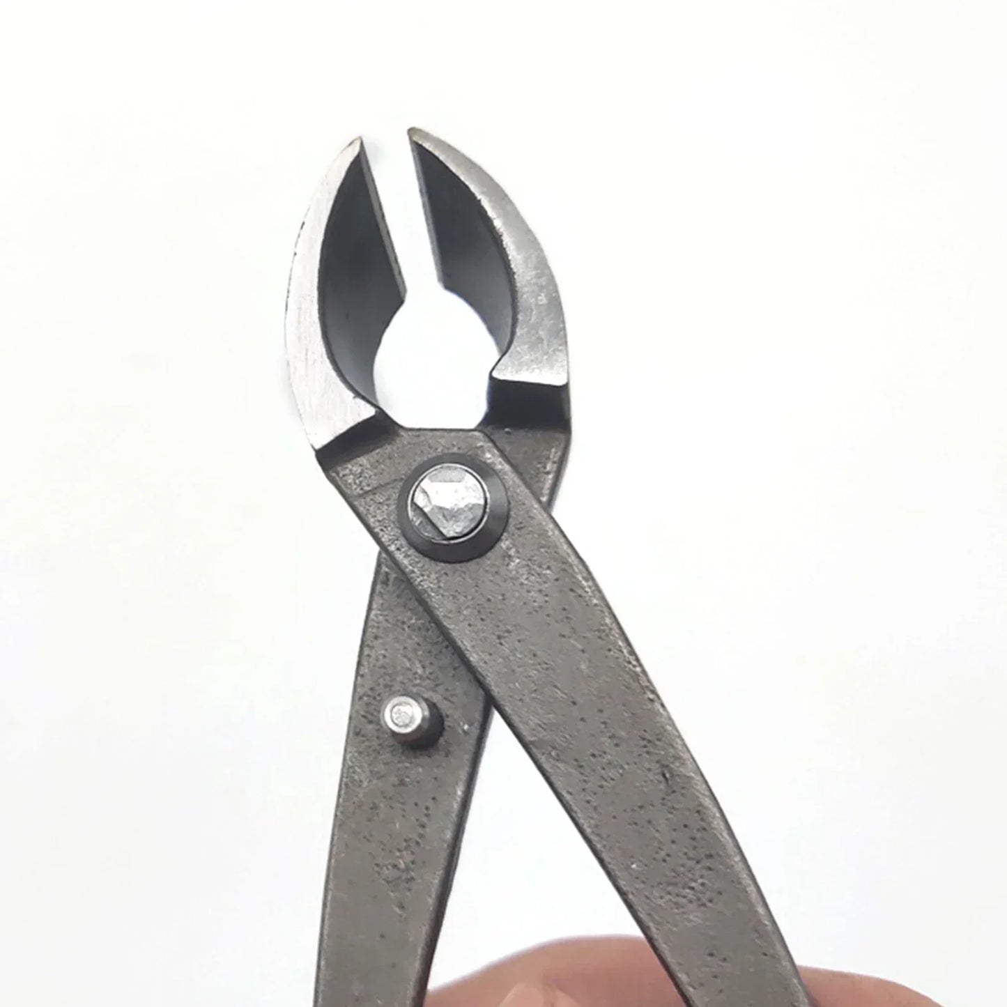 Hand Branch Cutter - Your Choice Central