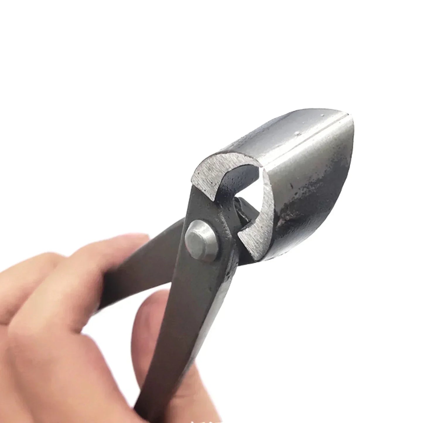 Hand Branch Cutter - Your Choice Central